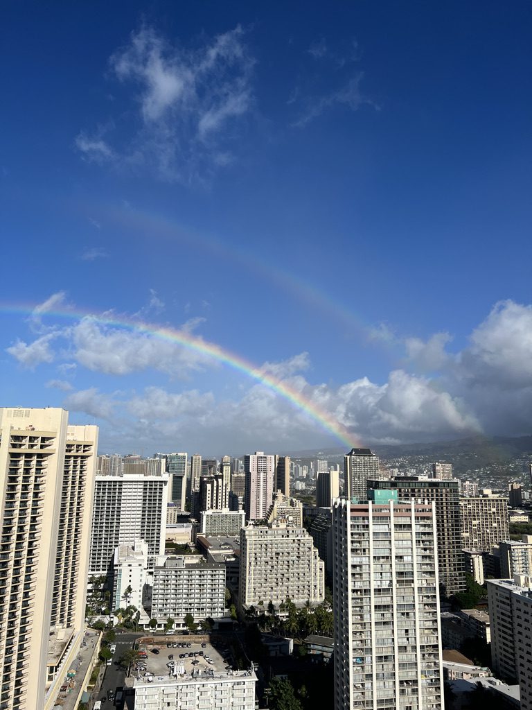 waikiki city view